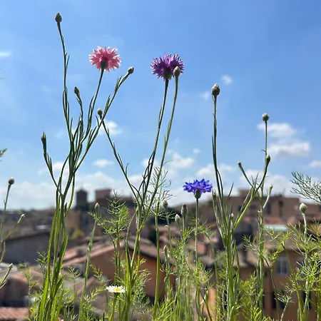 Panoramic Terrace Trastevere Apartment, With Amazing View Rome